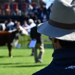 Fotos Expo Prado 2018 - Día 7 (30)