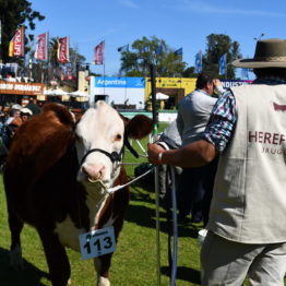 Fotos Expo Prado 2018 - Día 7 (53)