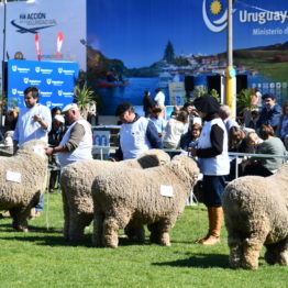 Fotos Expo Prado 2018 - Día 7 (56)