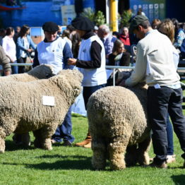 Fotos Expo Prado 2018 - Día 7 (57)