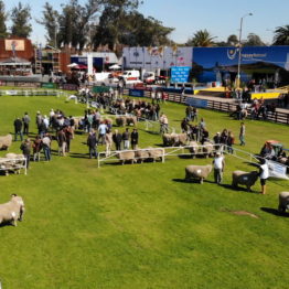 Fotos Expo Prado 2018 - Día 7 (6)