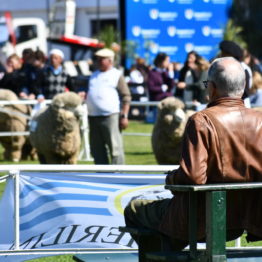 Fotos Expo Prado 2018 - Día 7 (61)