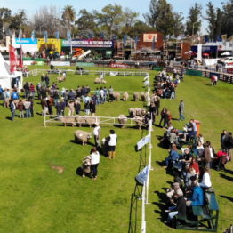 Fotos Expo Prado 2018 - Día 7 (7)