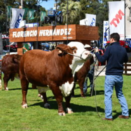 Fotos Expo Prado 2018 - Día 7 (70)