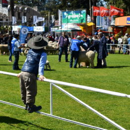 Fotos Expo Prado 2018 - Día 7 (71)