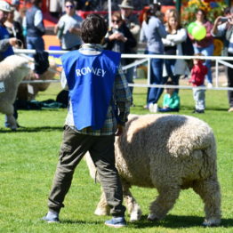 Fotos Expo Prado 2018 - Día 7 (74)