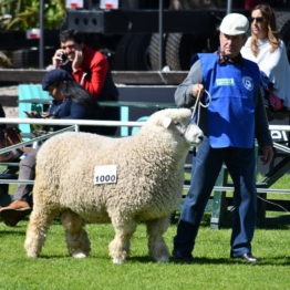 Fotos Expo Prado 2018 - Día 7 (75)