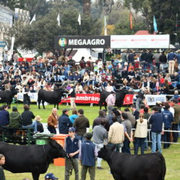 Fotos Expo Prado 2018 - Día 8 (106)