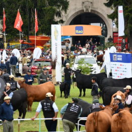 Fotos Expo Prado 2018 - Día 8 (107)