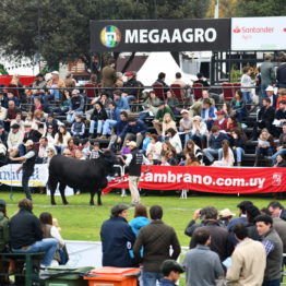 Fotos Expo Prado 2018 - Día 8 (108)