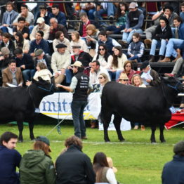 Fotos Expo Prado 2018 - Día 8 (109)