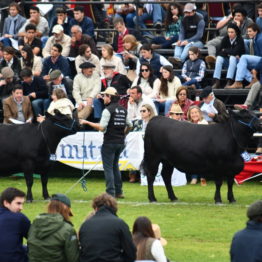 Fotos Expo Prado 2018 - Día 8 (109)