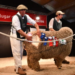 Fotos Expo Prado 2018 - Día 8 (48)