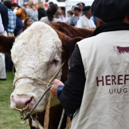 Fotos Expo Prado 2018 - Día 8 (60)