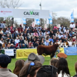 Fotos Expo Prado 2018 - Día 8 (61)