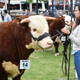 Fotos Expo Prado 2018 - Día 8 (62)