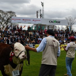 Fotos Expo Prado 2018 - Día 8 (63)