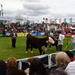 Fotos Expo Prado 2018 - Día 8 (64)