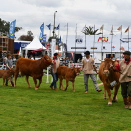 Fotos Expo Prado 2018 - Día 8 (65)