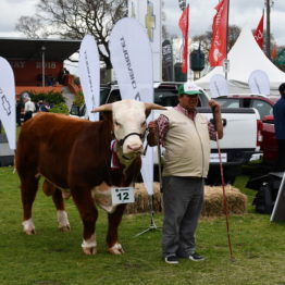 Fotos Expo Prado 2018 - Día 8 (67)