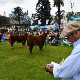 Fotos Expo Prado 2018 - Día 8 (68)