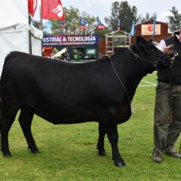 Fotos Expo Prado 2018 - Día 8 (70)