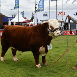 Fotos Expo Prado 2018 - Día 8 (71)