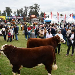 Fotos Expo Prado 2018 - Día 8 (74)