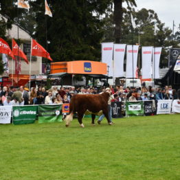 Fotos Expo Prado 2018 - Día 8 (77)