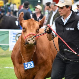 Fotos Expo Prado 2018 - Día 8 (78)