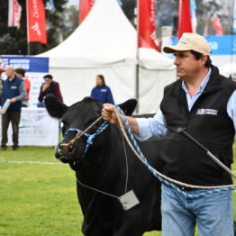 Fotos Expo Prado 2018 - Día 8 (79)