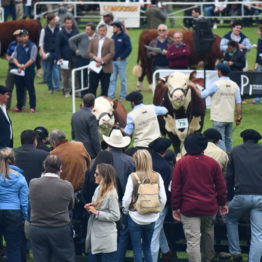 Fotos Expo Prado 2018 - Día 8 (88)