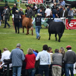 Fotos Expo Prado 2018 - Día 8 (89)