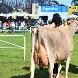 Fotos Expo Prado 2018 - Día 9 (17)