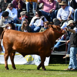 Fotos Expo Prado 2018 - Día 9 (19)