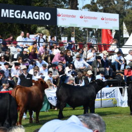 Fotos Expo Prado 2018 - Día 9 (21)