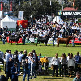 Fotos Expo Prado 2018 - Día 9 (26)