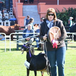 Fotos Expo Prado 2018 - Día 9 (28)