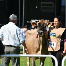 Fotos Expo Prado 2018 - Día 9 (31)