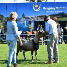 Fotos Expo Prado 2018 - Día 9 (32)