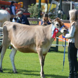 Fotos Expo Prado 2018 - Día 9 (38)