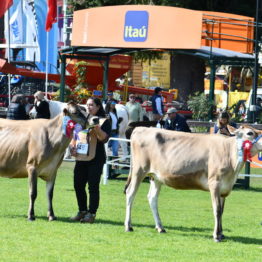 Fotos Expo Prado 2018 - Día 9 (39)