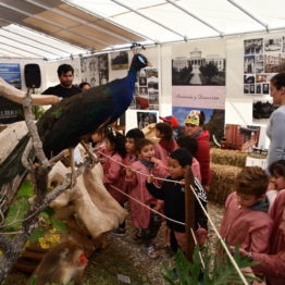 Fotos Expo Prado 2018 - Día 9 (57)