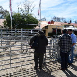 Fotos Expo Prado 2018 - Día 9 (65)