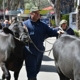 Expo Prado 2019 - Día 1 (24)