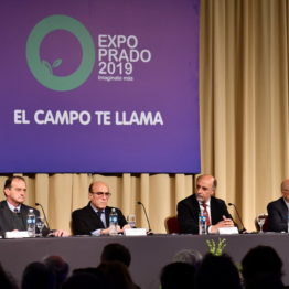Expo Prado 2019 - Día 1 (87)