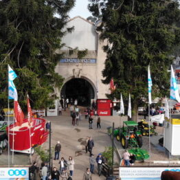 Expo-Prado-2019-Día-10-23