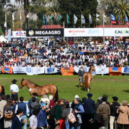 Expo-Prado-2019-Día-10-243