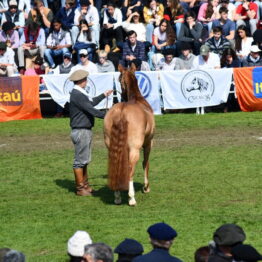 Expo-Prado-2019-Día-10-245