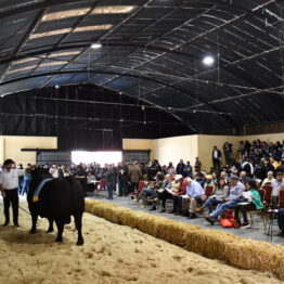 Expo-Prado-2019-Día-10-255